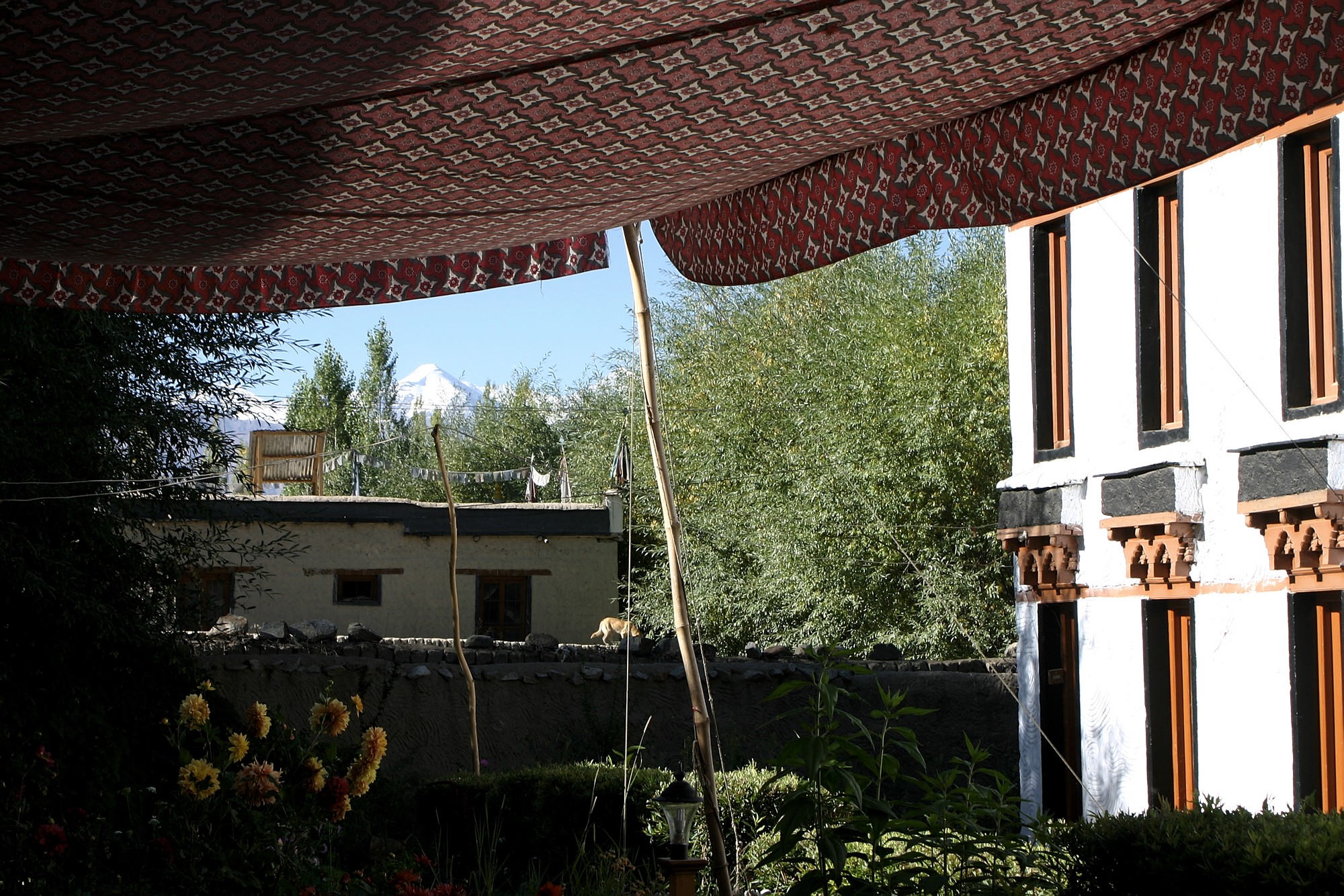 116_1678.jpg