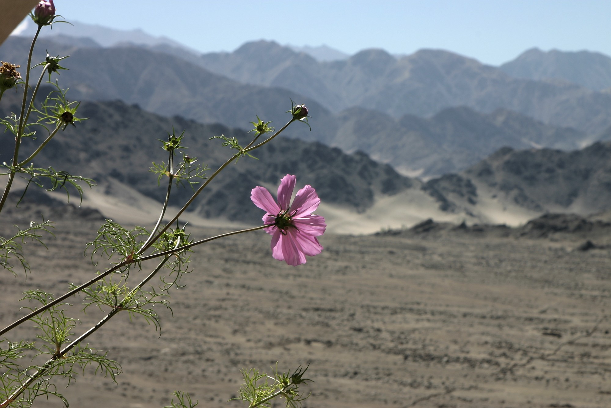 116_1684.jpg