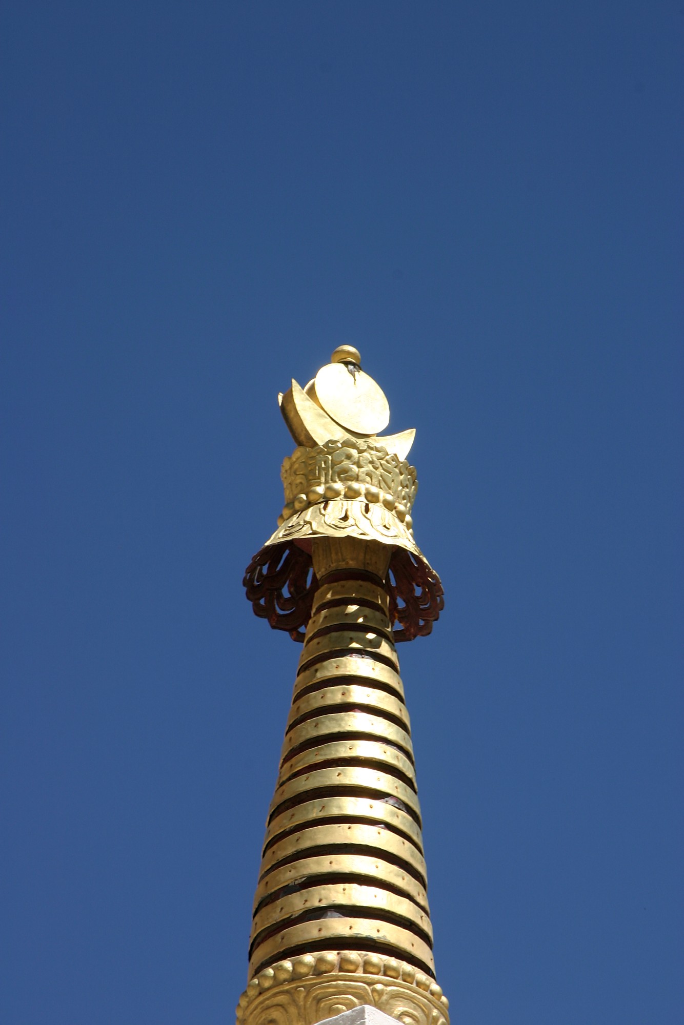 117_1702.jpg