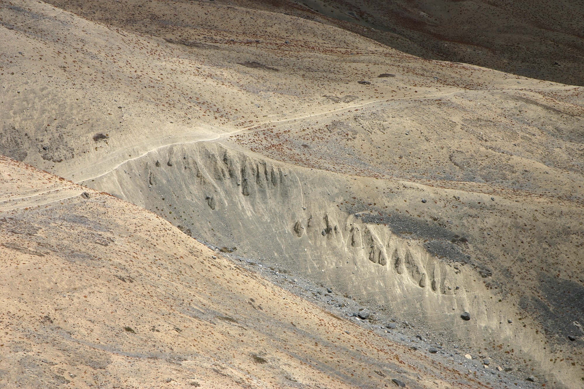 118_1879.jpg