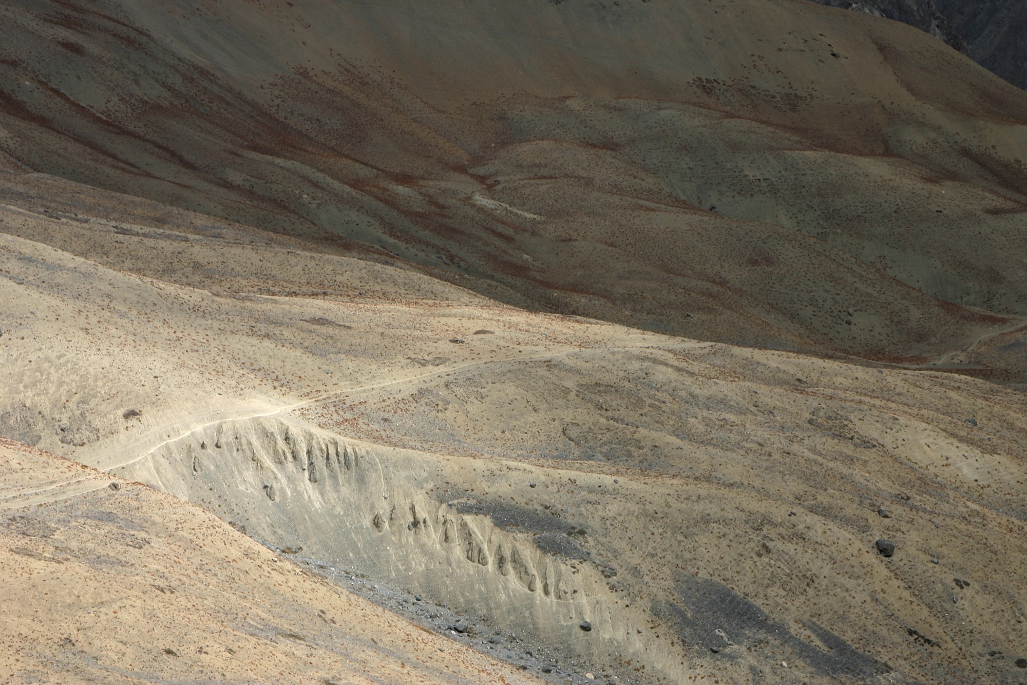 118_1880.jpg