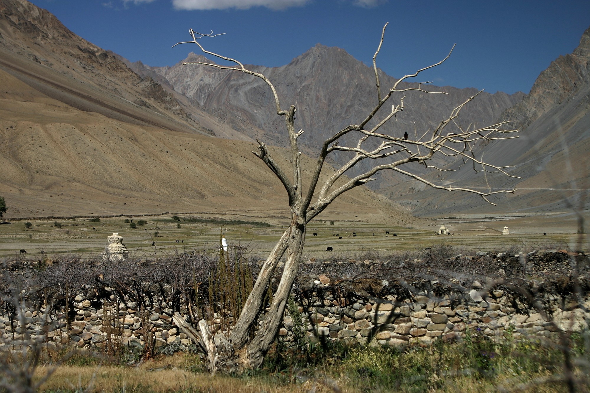 119_1948.jpg