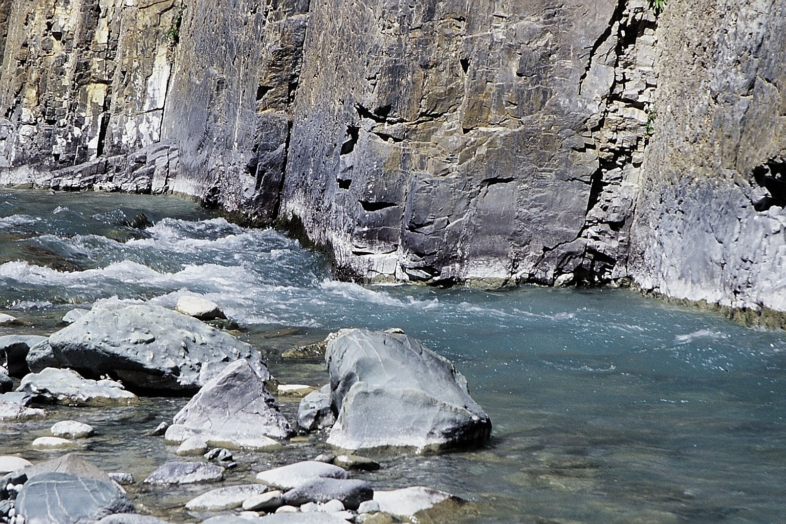 cd01-img001.jpg