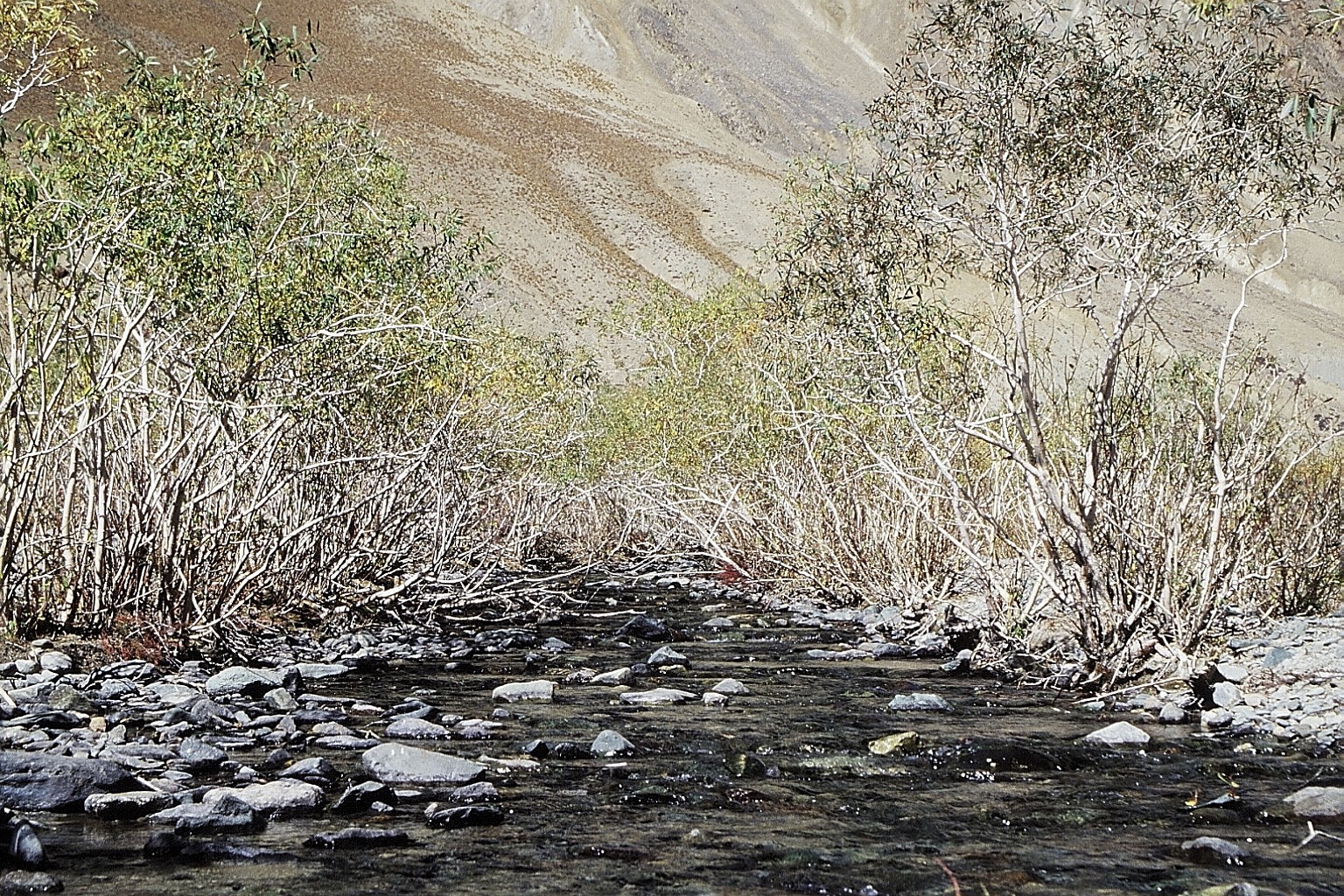 cd01-img002.jpg