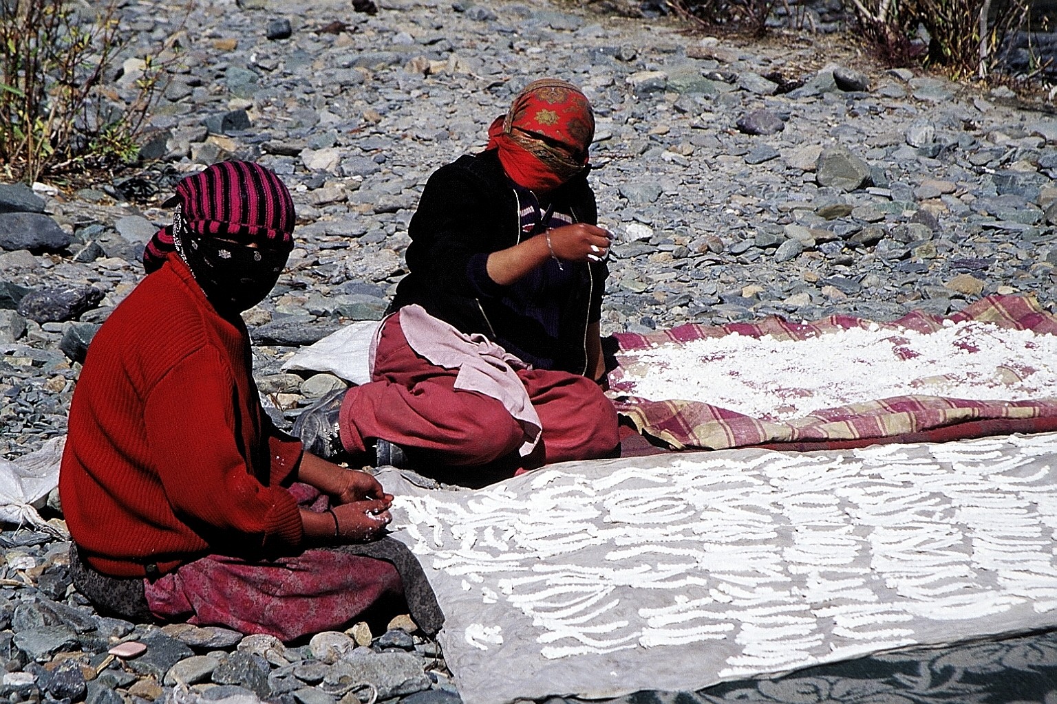 cd01-img003.jpg