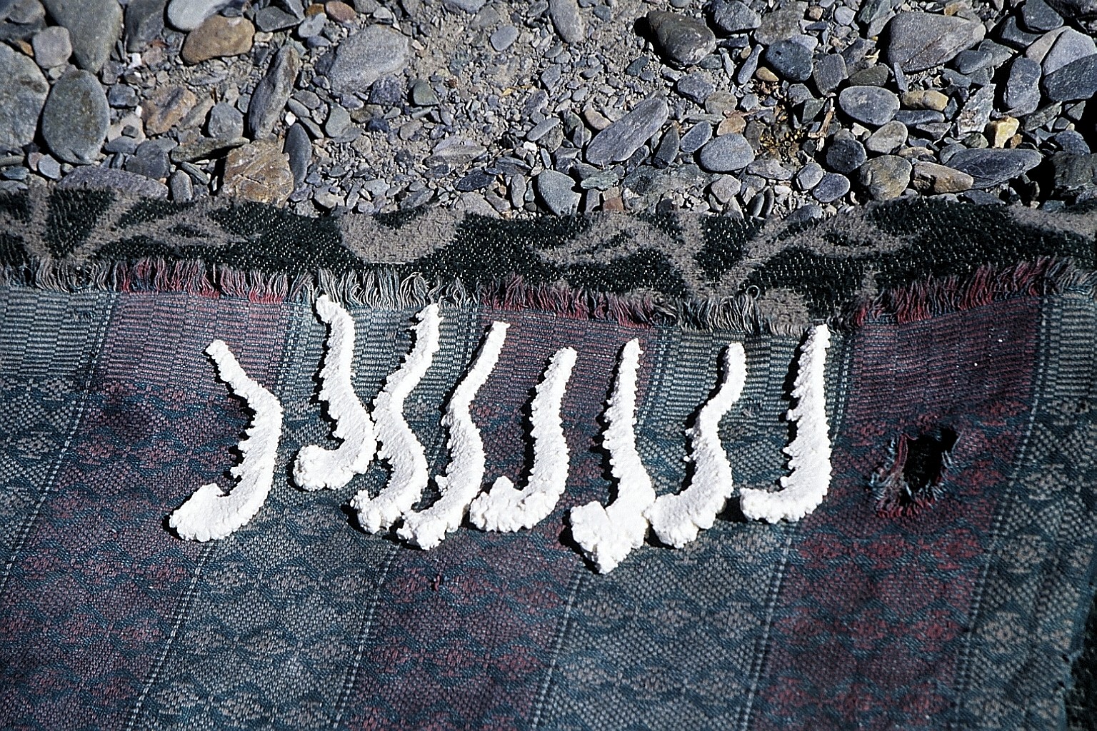 cd01-img004.jpg