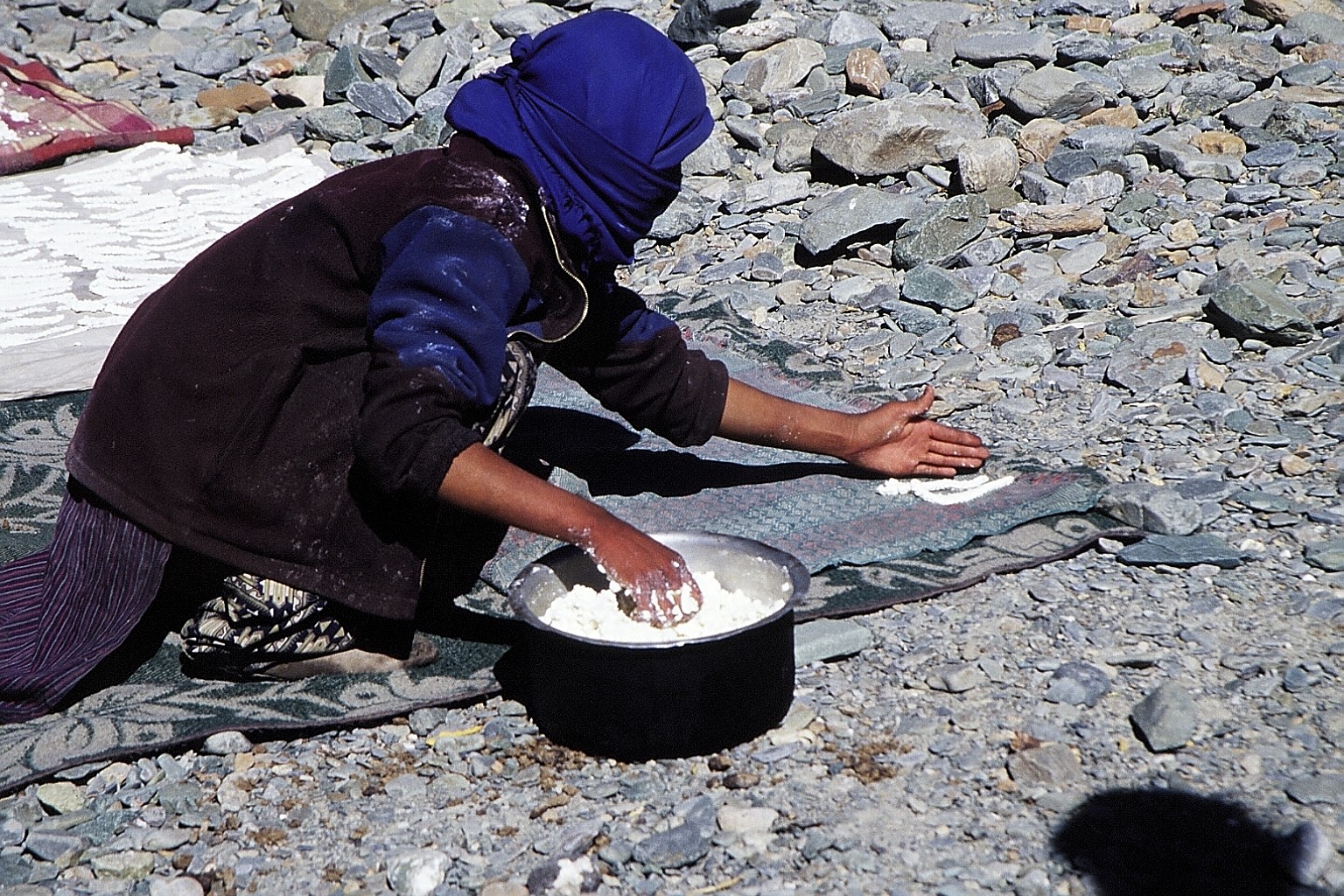 cd01-img008.jpg