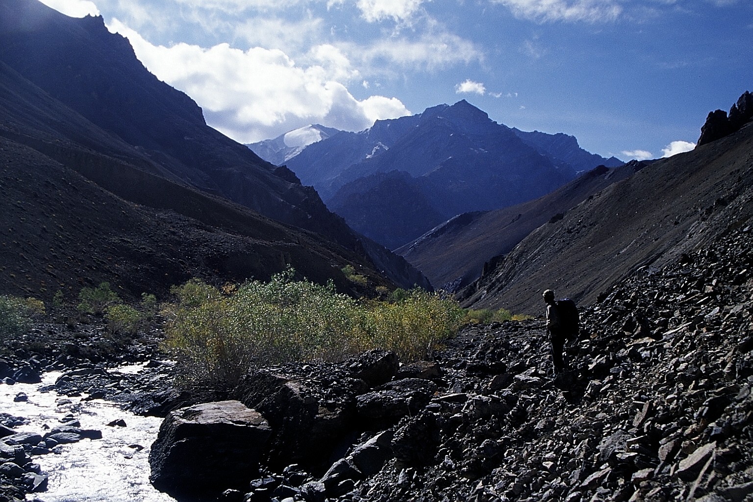 cd01-img012.jpg