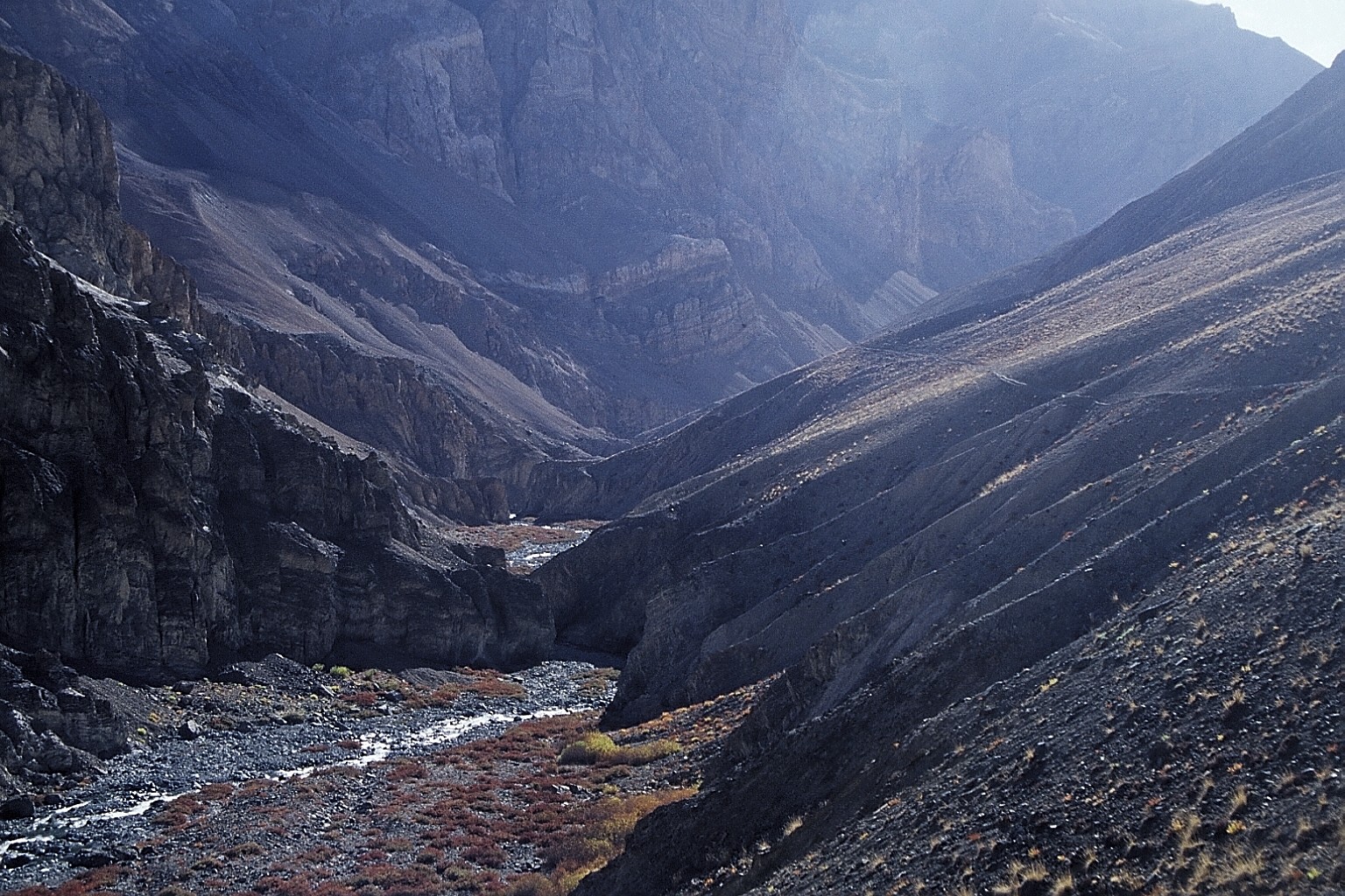 cd01-img013.jpg