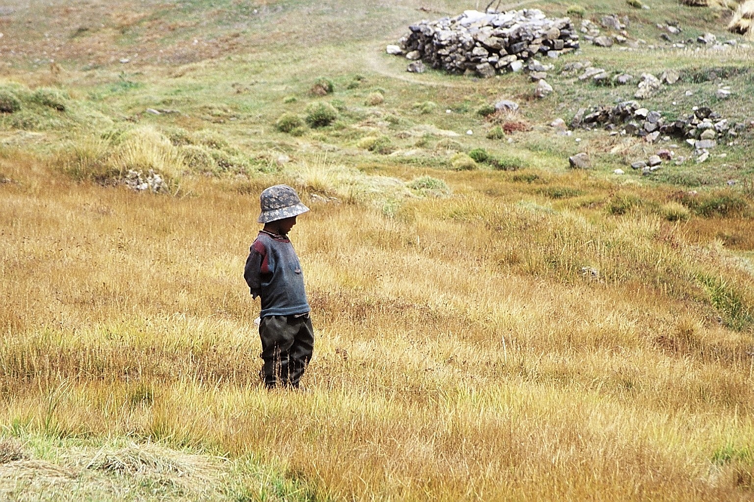 cd01-img028.jpg