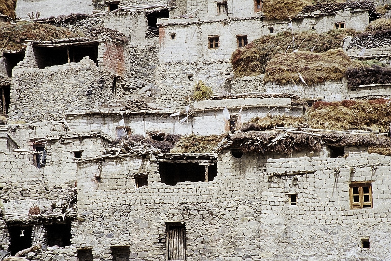 cd02-img013.jpg