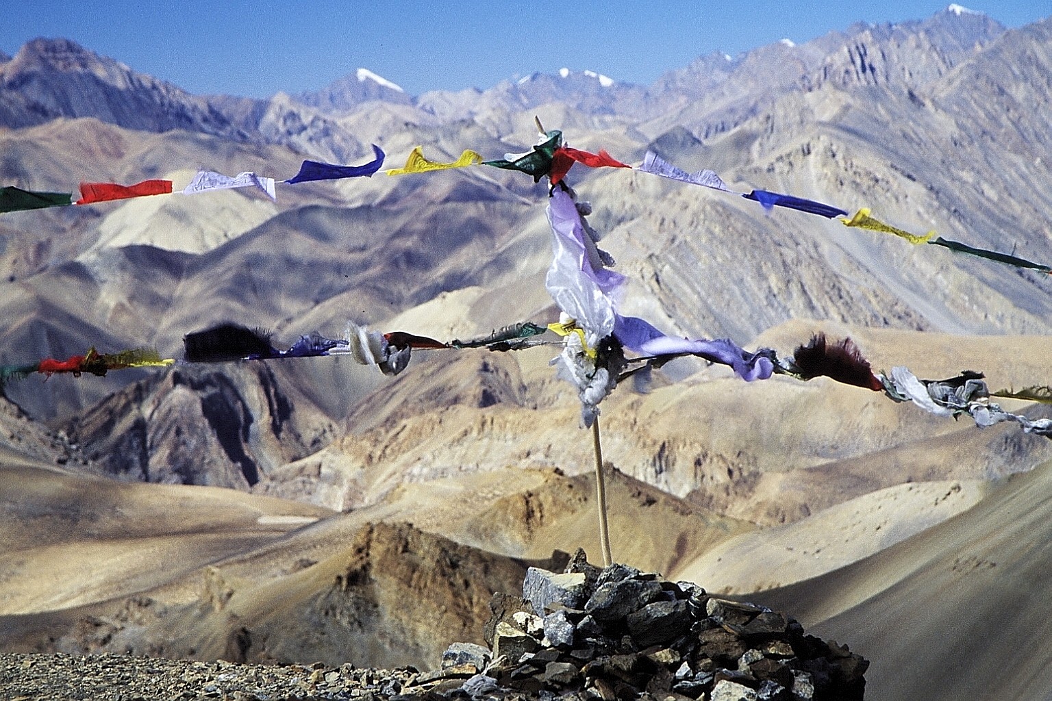 cd03-img031.jpg