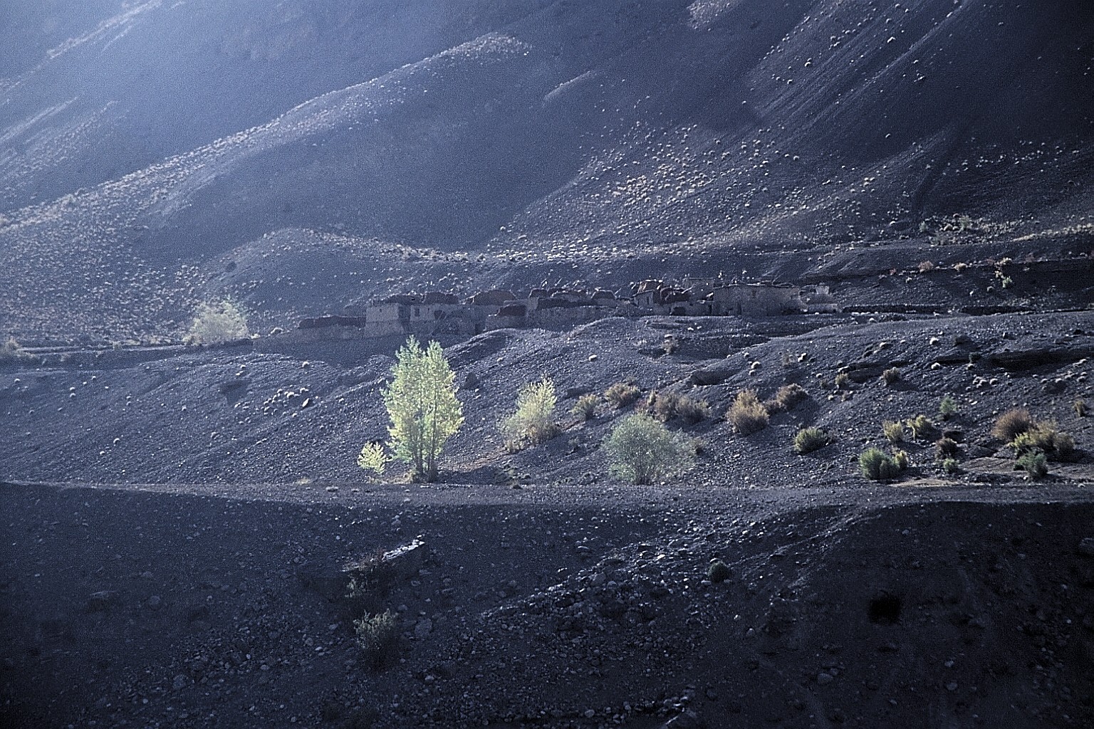 cd04-img018.jpg