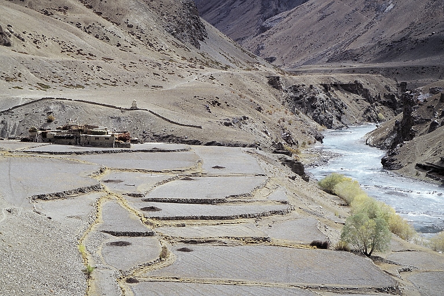 cd04-img029.jpg