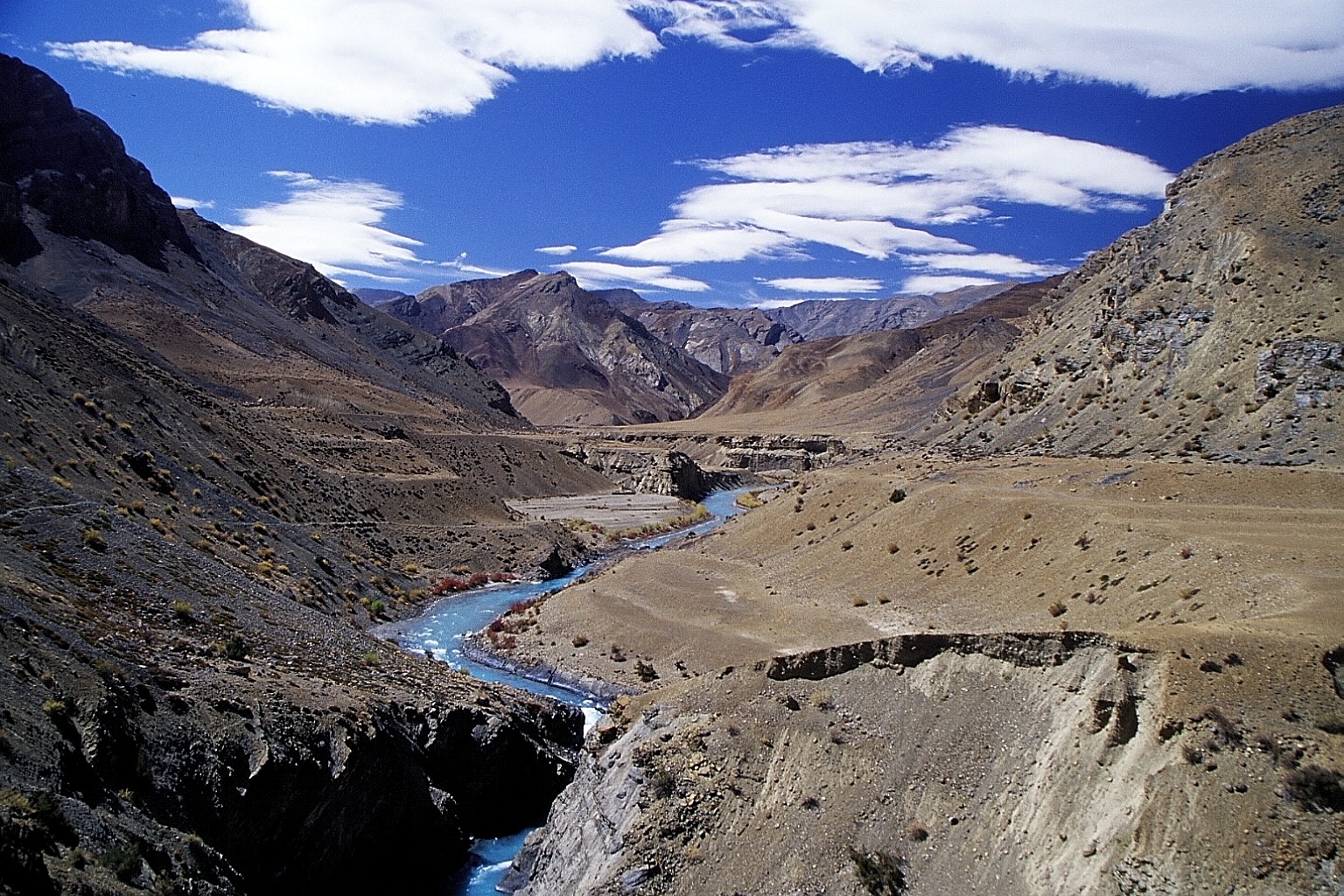 cd04-img032.jpg