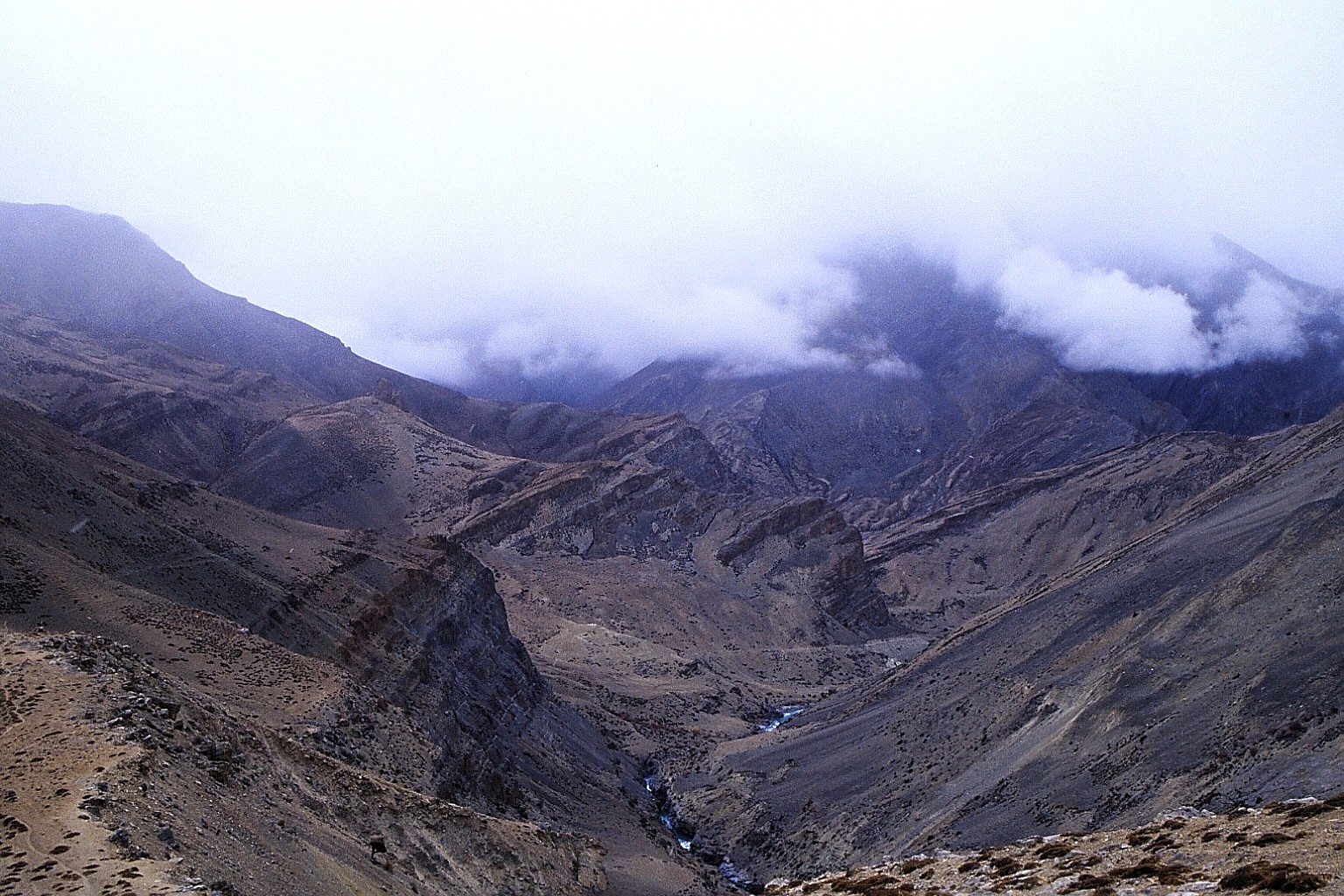 cd05-img004.jpg