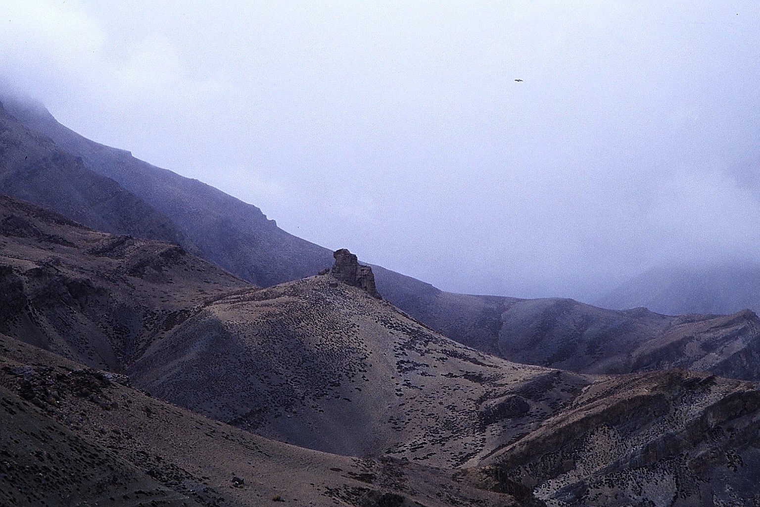 cd05-img006.jpg