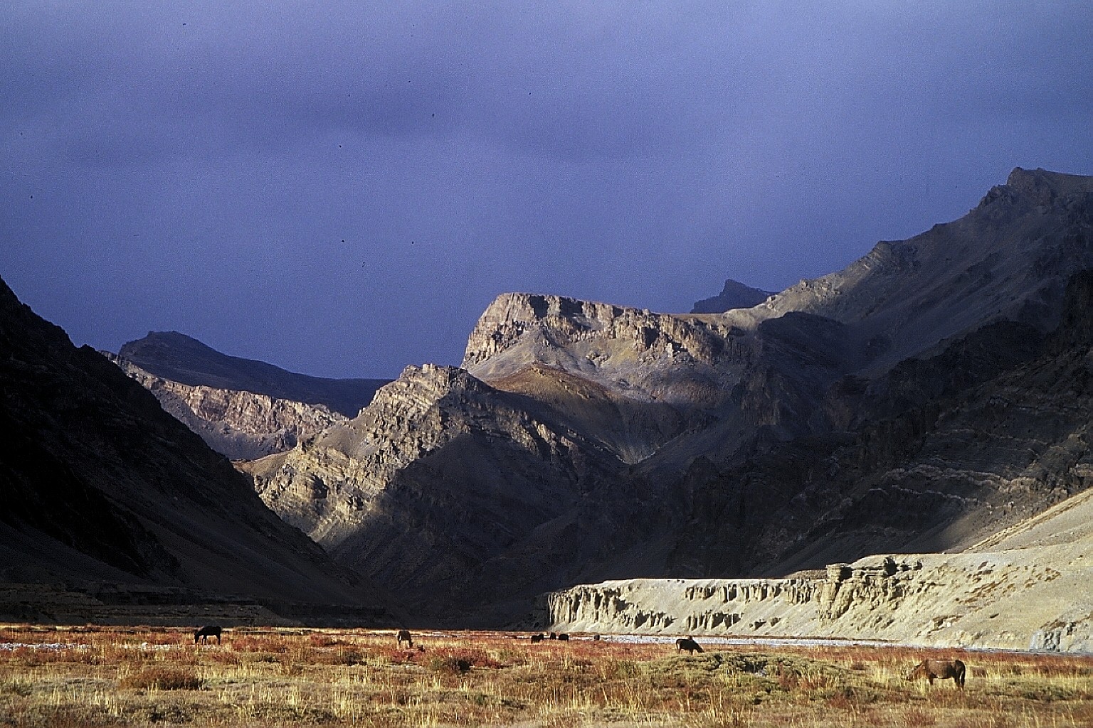 cd06-img001.jpg
