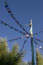 miniature-115_1596.jpg