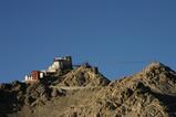 miniature-116_1667.jpg