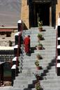 miniature-116_1688.jpg