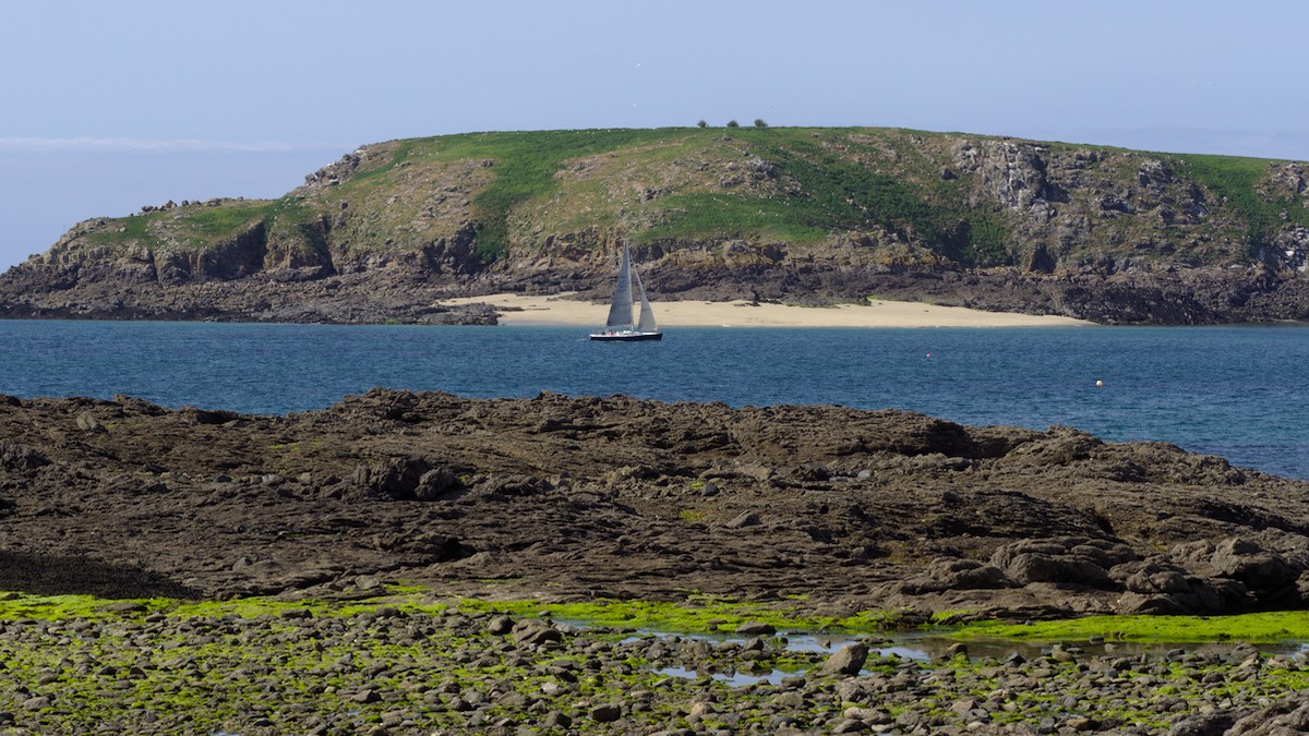 P4160124.jpg