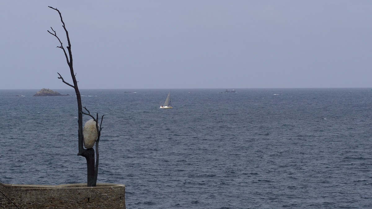 P4170127.jpg