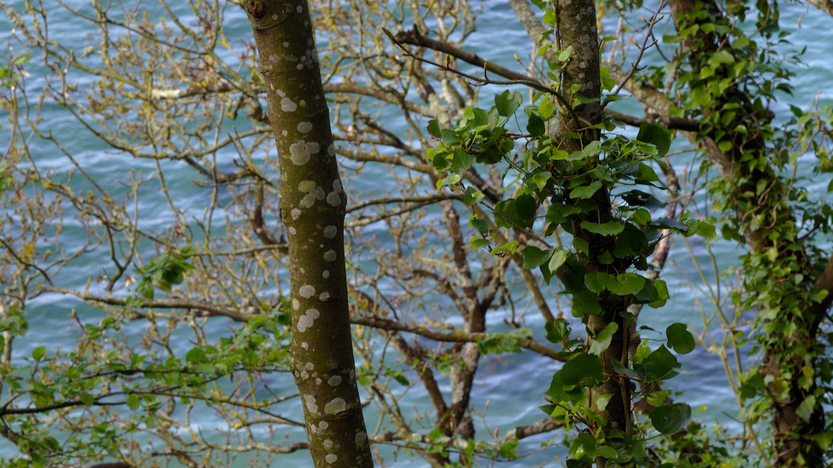 P4170132.jpg