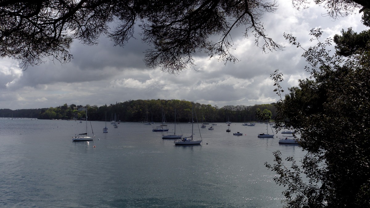 P4170144.jpg