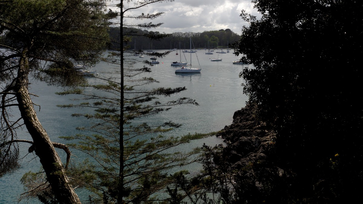 P4170145.jpg