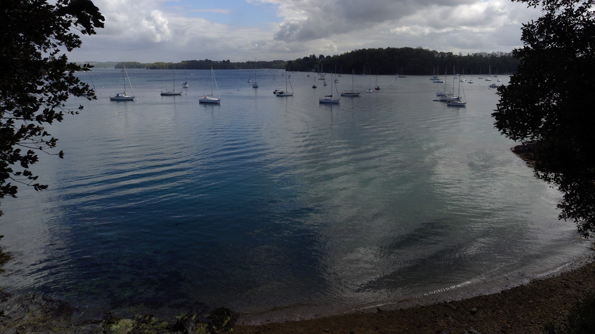P4170147.jpg
