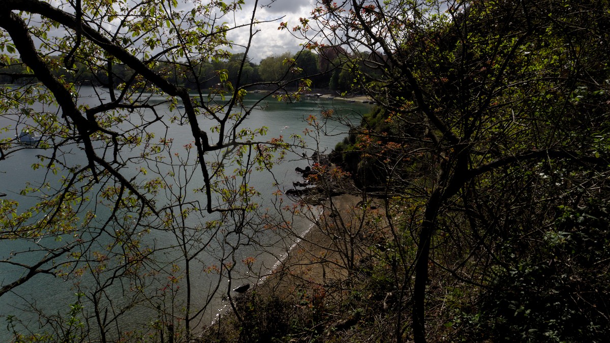 P4170150.jpg