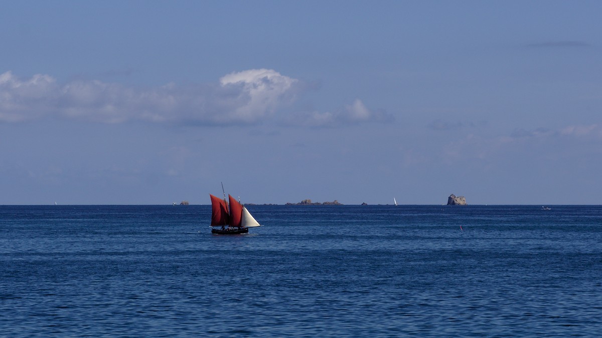 P4180186.jpg