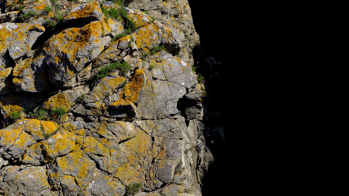 P4190256.jpg
