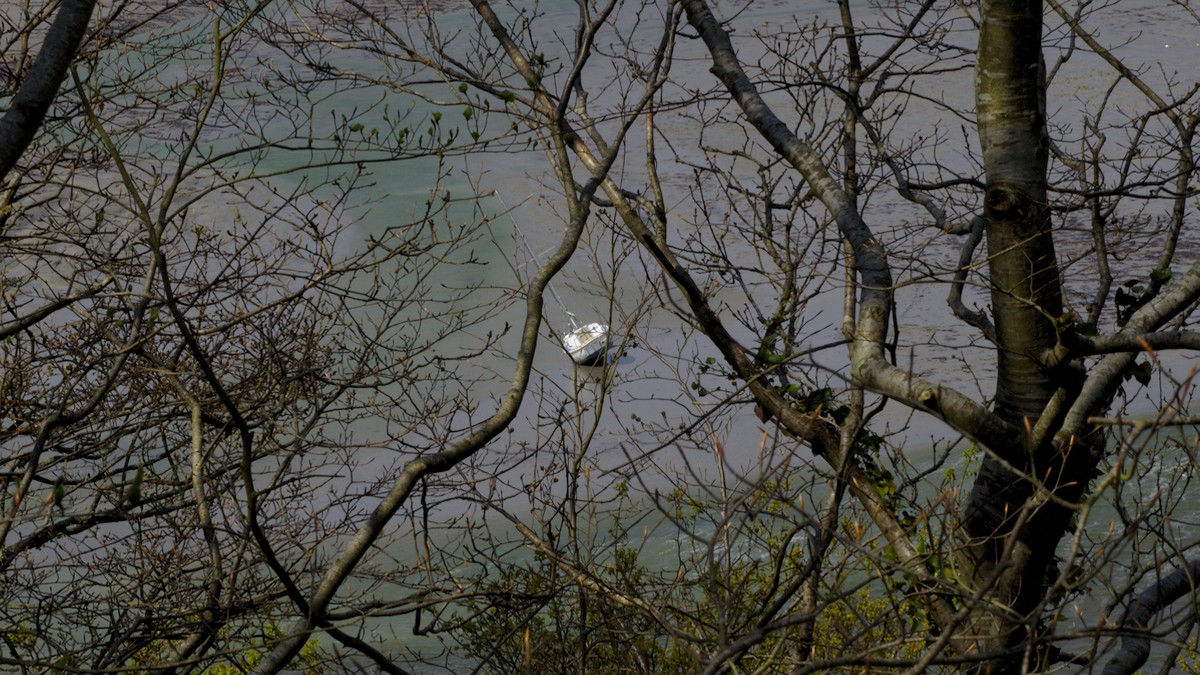 P4190259.jpg