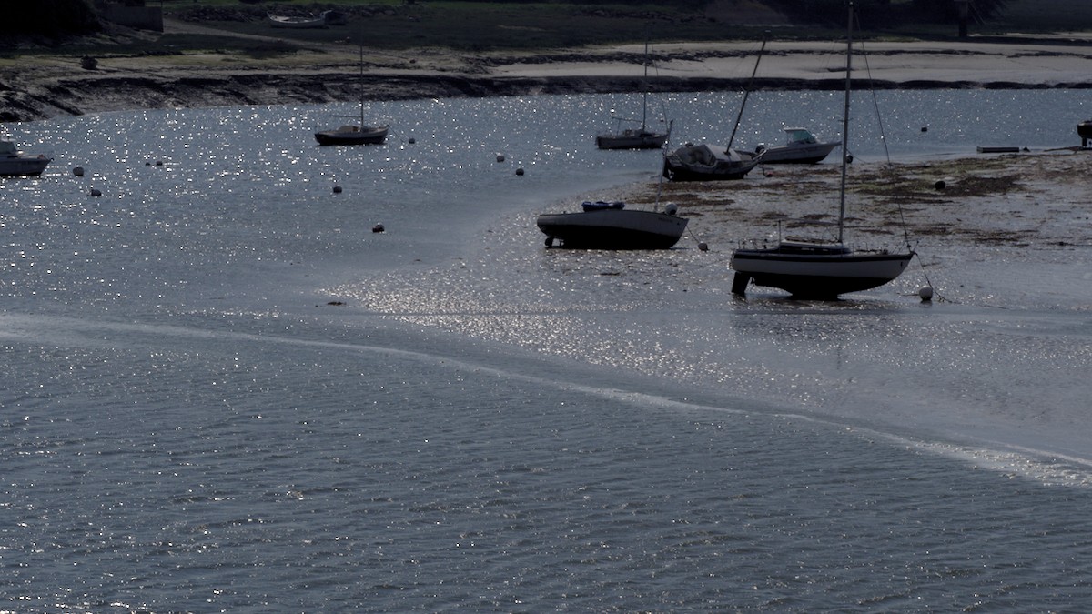 P4190271.jpg
