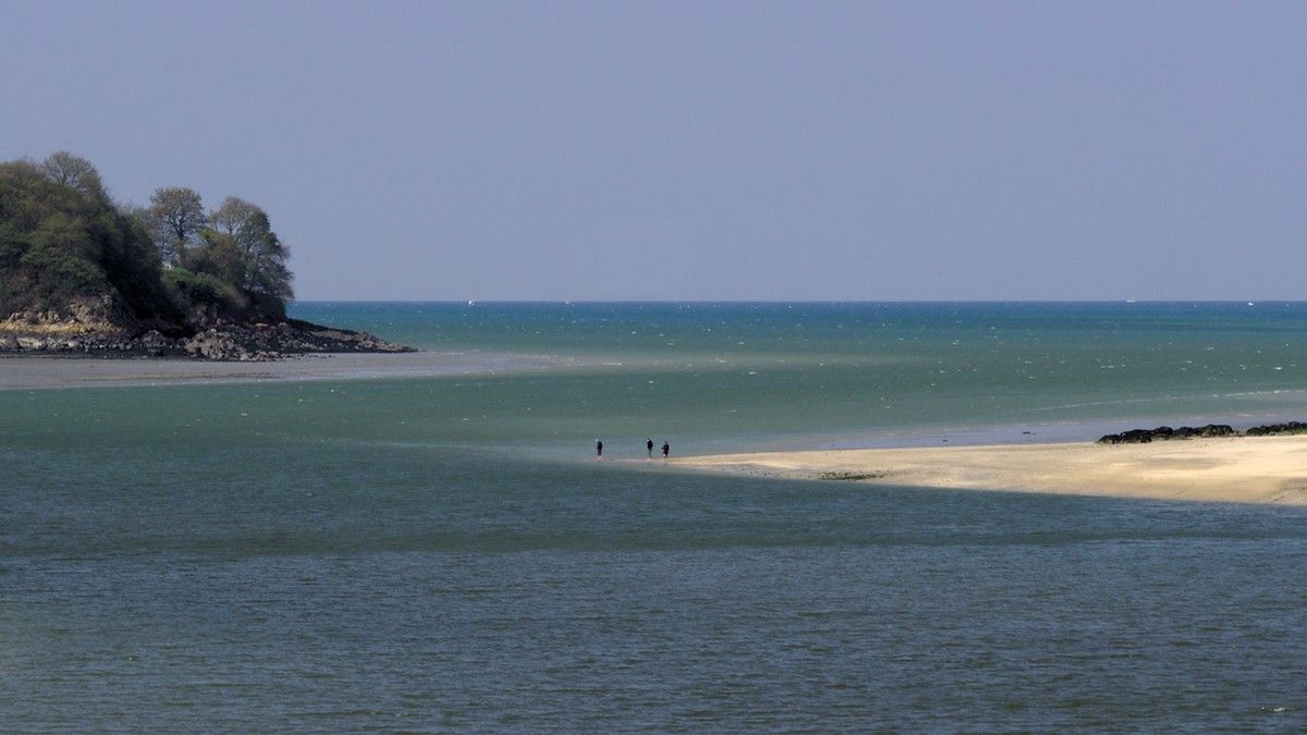 P4190272.jpg