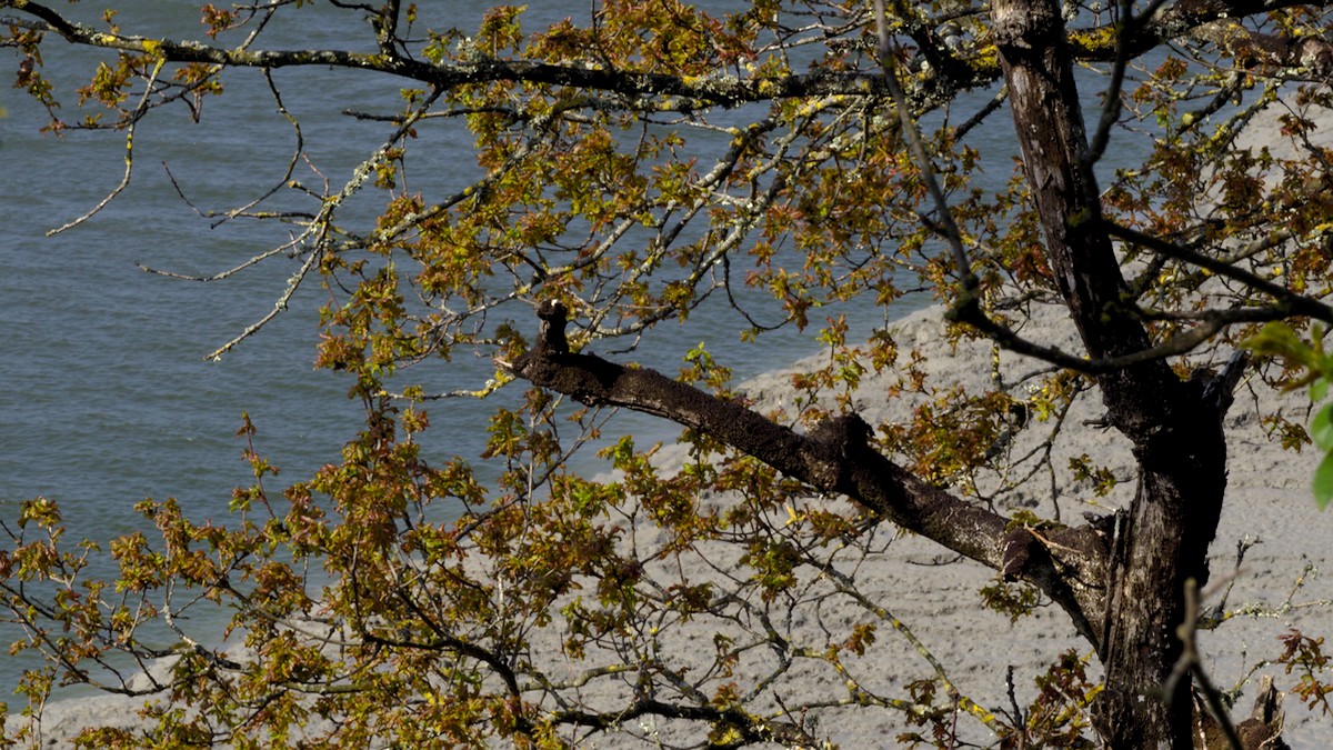 P4190278.jpg