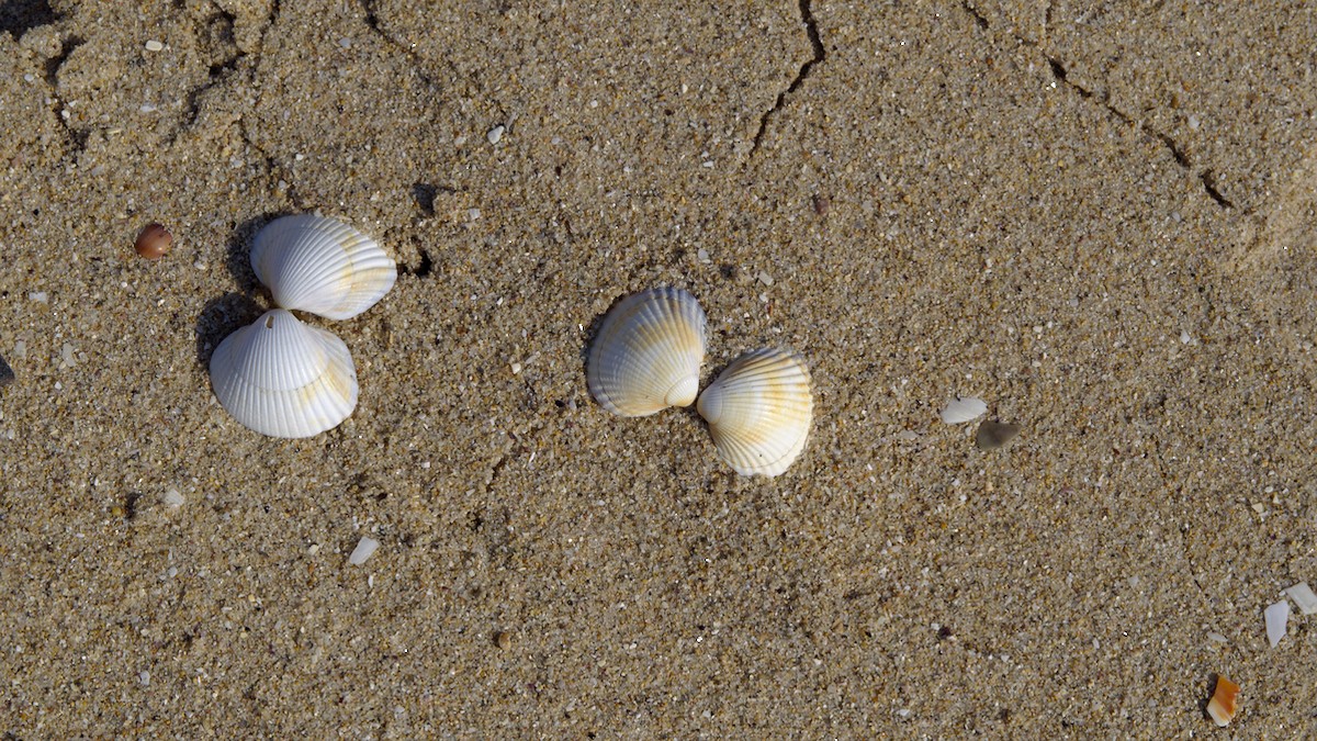 P4190300.jpg