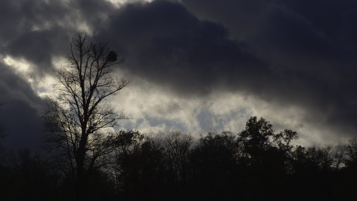 PB120711.jpg