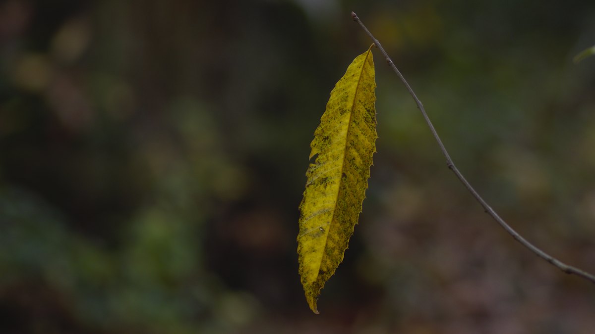 PB120720.jpg