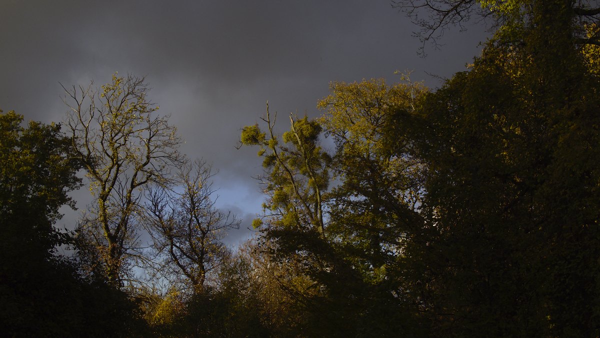 PB120733.jpg