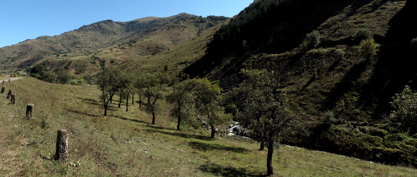 P9120243.jpg