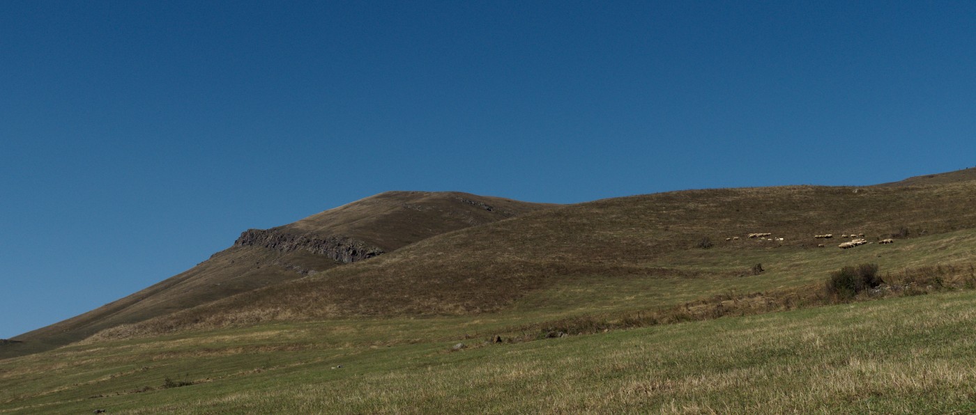 P9120244.jpg