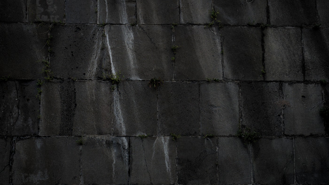 P9130512.jpg