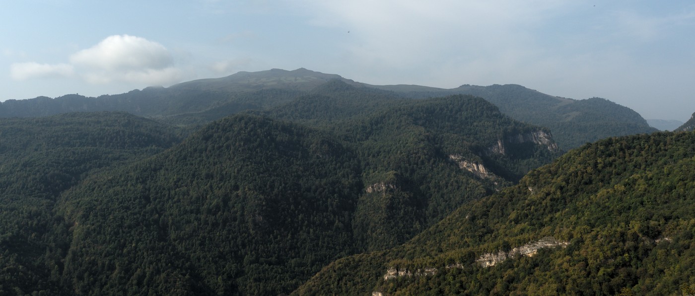 P9140520.jpg
