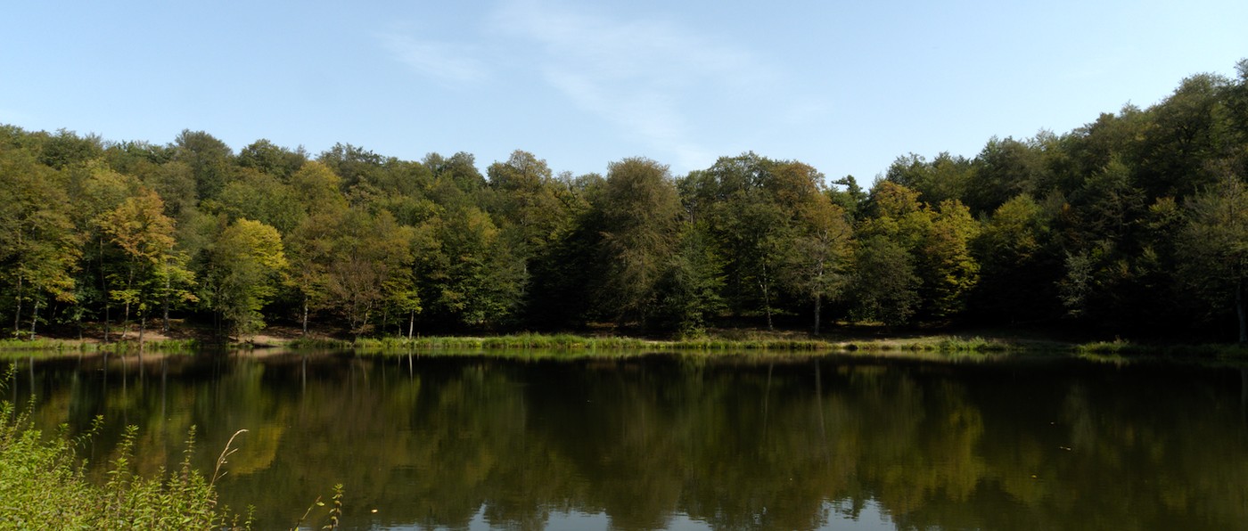 P9150611.jpg