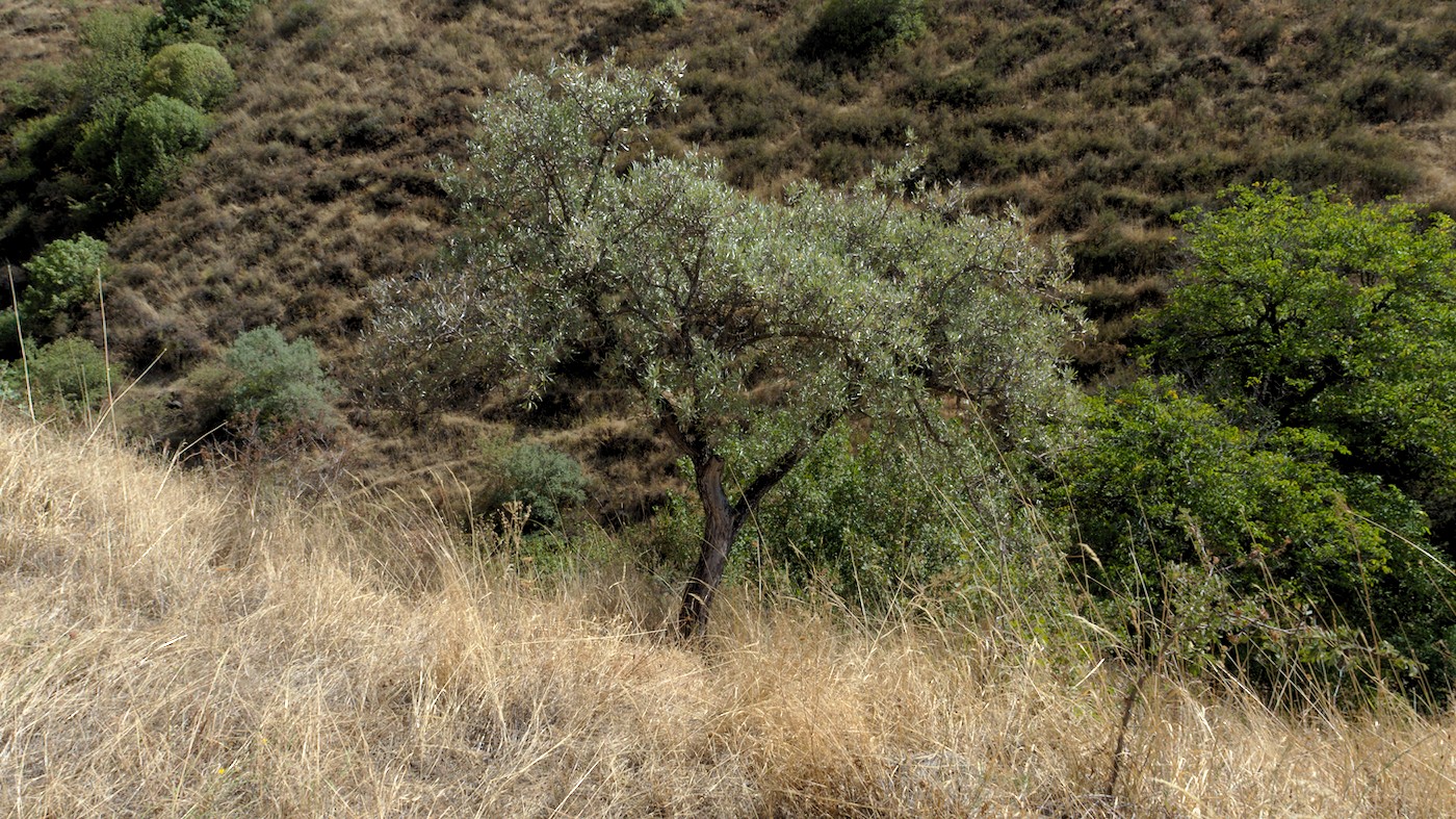 P9170797.jpg
