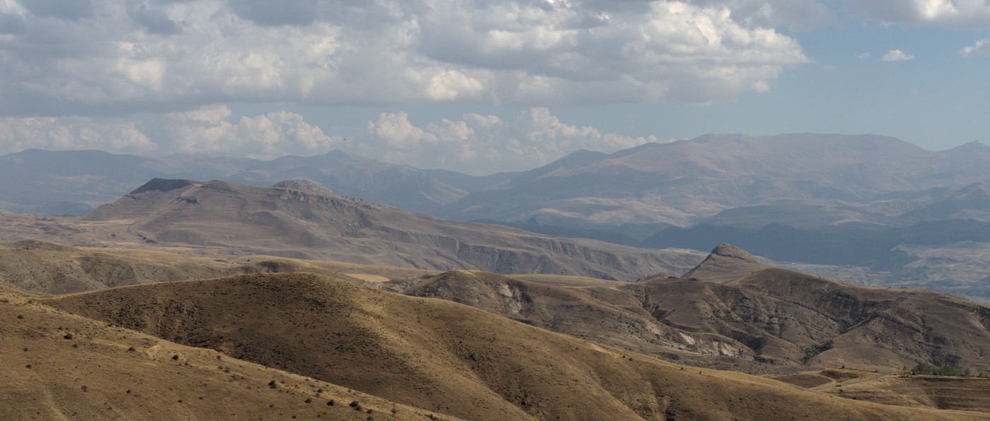 P9170851.jpg