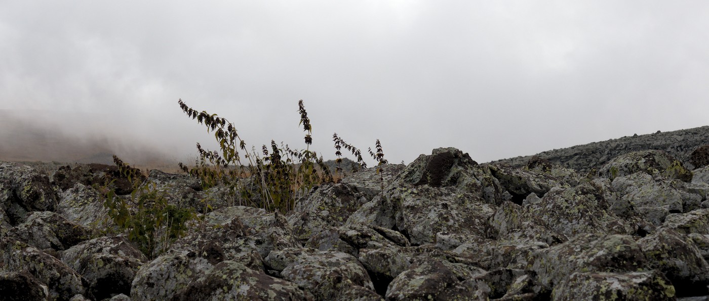 P9180886.jpg
